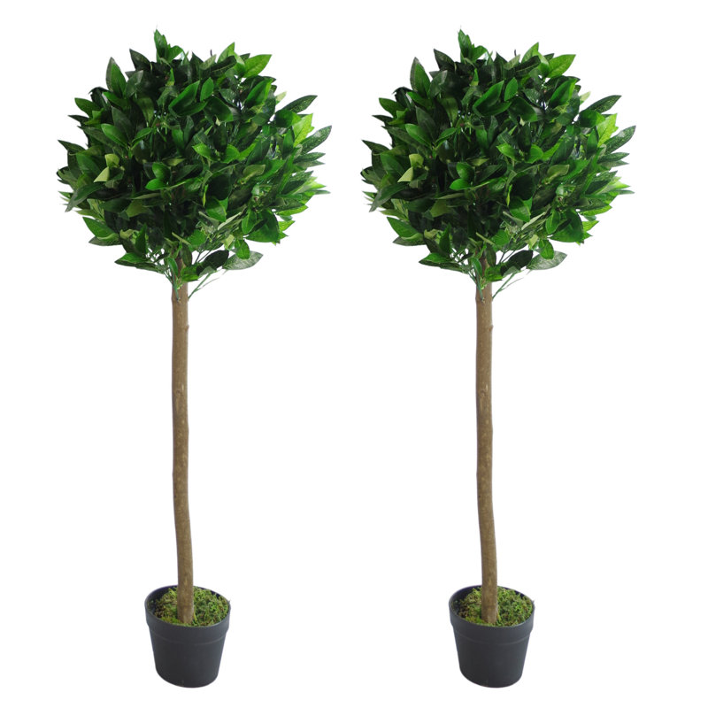 The Seasonal Aisle 2 Piece Topiary Bay Tree & Reviews Wayfair.co.uk